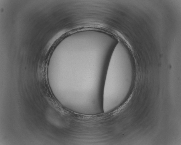 X0000081620875200701151052