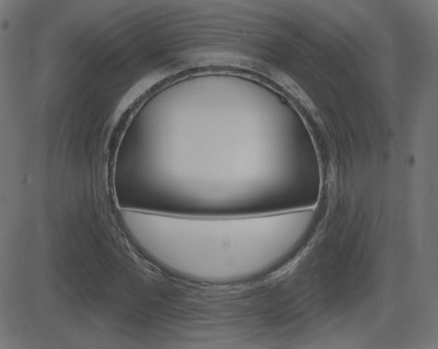 X0000081620877200701151052