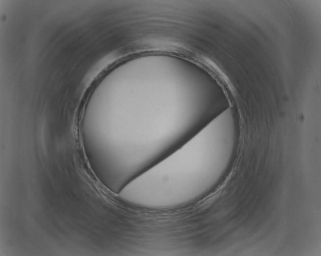 X0000081620883200701151052