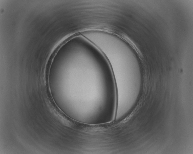 X0000081620884200701151052