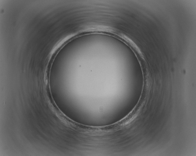 X0000081620885200701151052