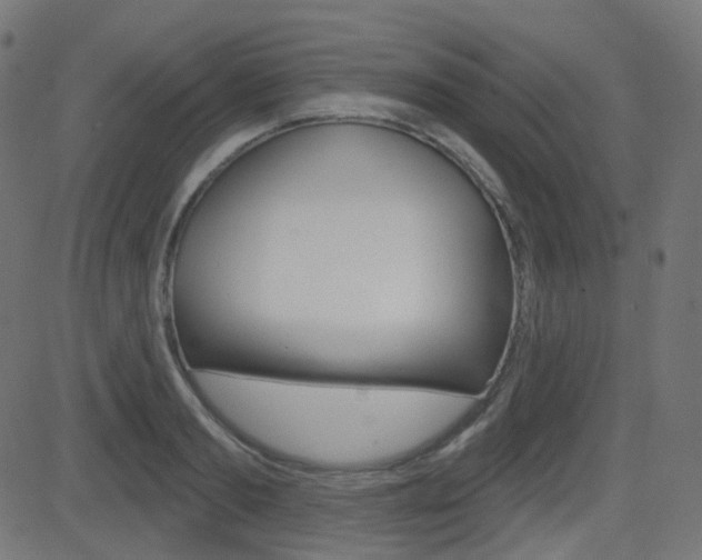 X0000081620893200701151052