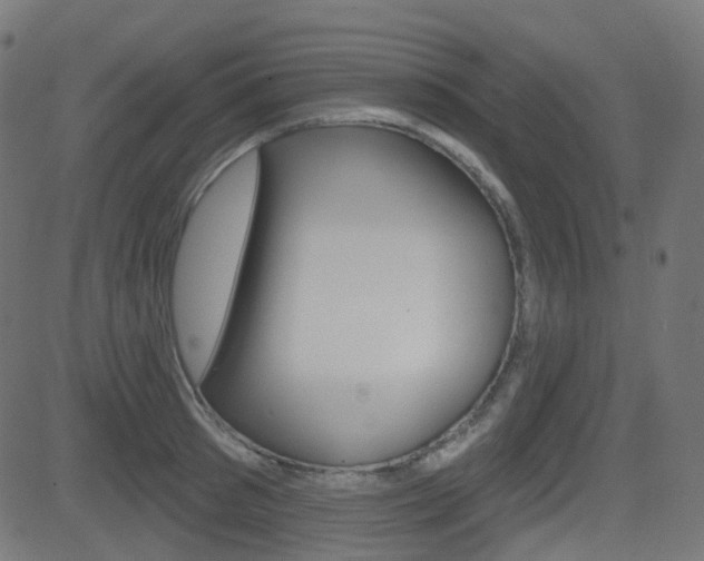 X0000081620897200701151052