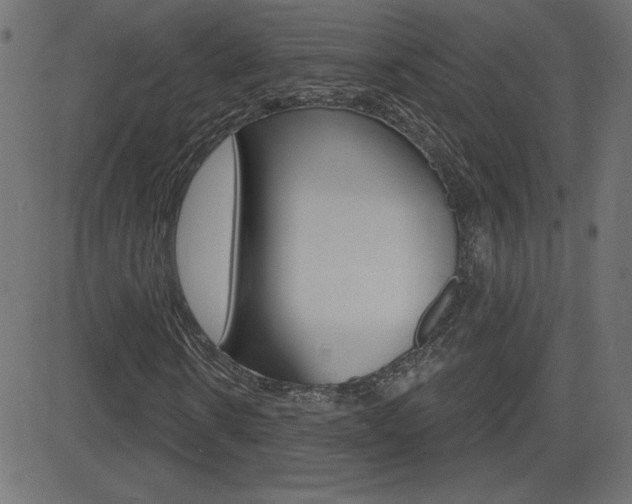 X0000081620914200701151051