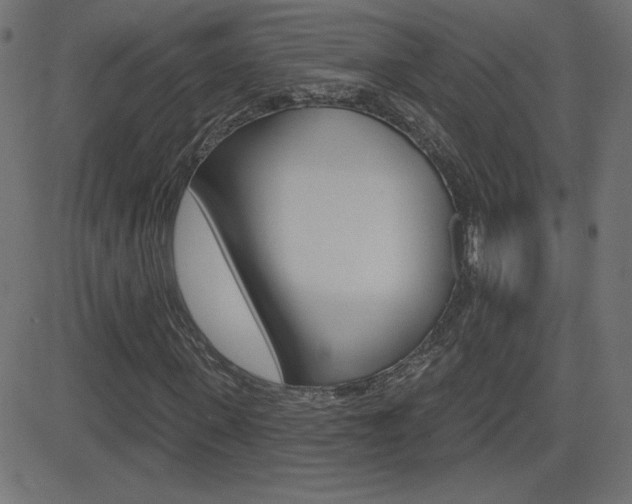 X0000081620915200701151051