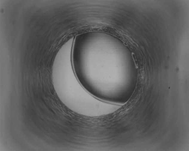 X0000081620916200701151051
