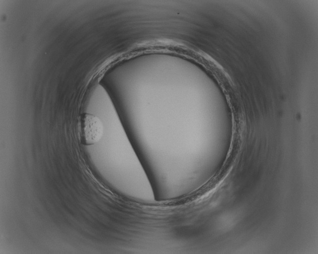 X0000081620921200701151051