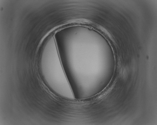 X0000081620923200701151051