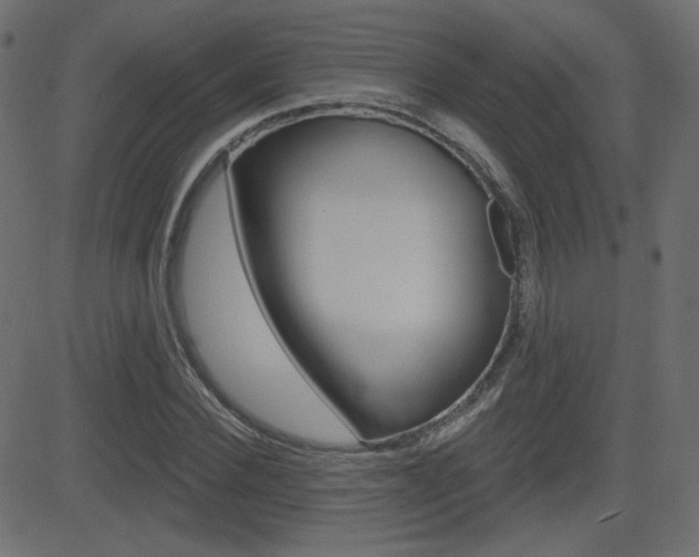 X0000081620924200701151051