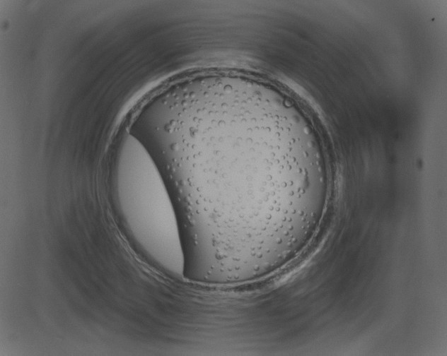 X0000081620925200701151051
