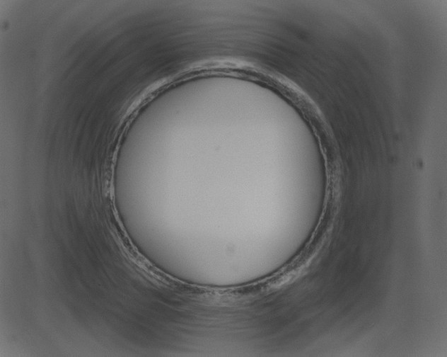 X0000081620929200701151051