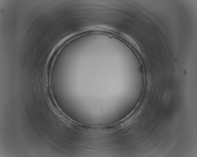 X0000081620931200701151051