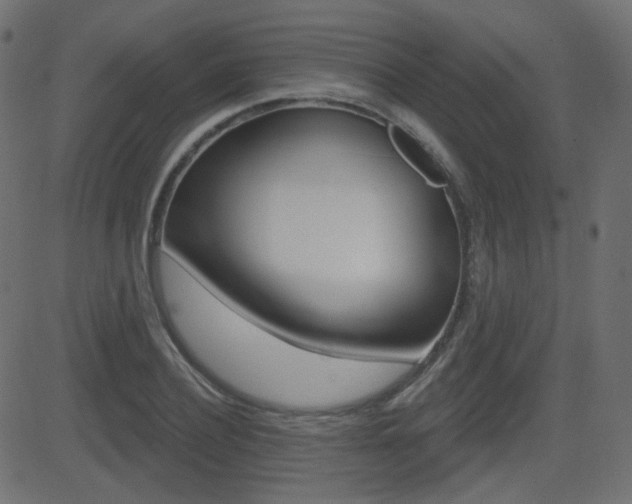 X0000081620932200701151051