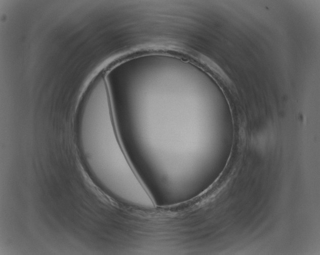 X0000081620934200701151051