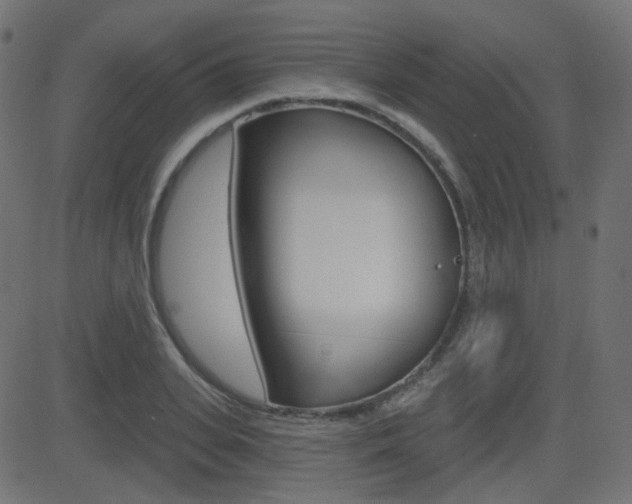 X0000081620935200701151051