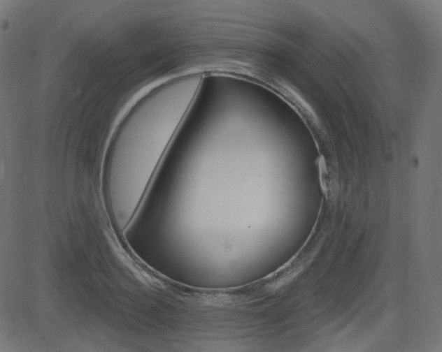 X0000081620940200701151051