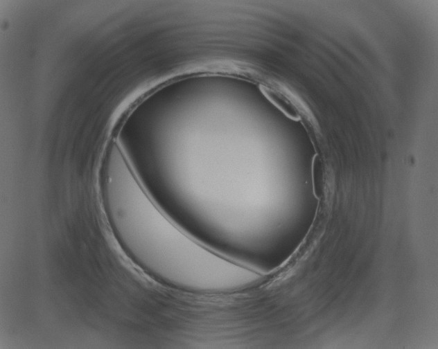X0000081620944200701151051
