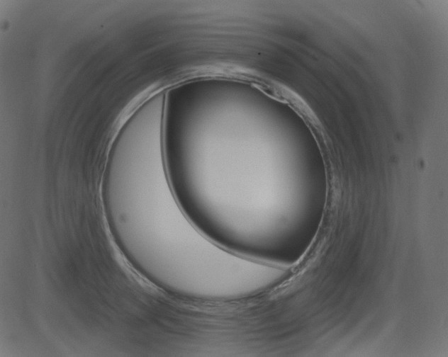 X0000081620946200701151051