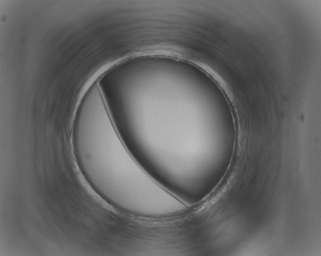 X0000081620949200701151051