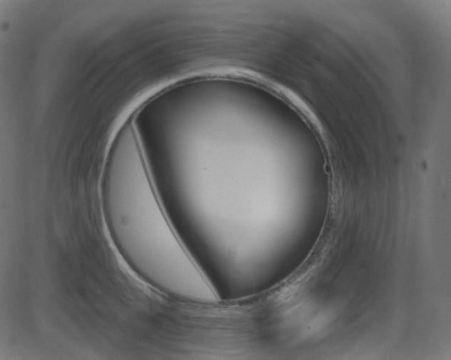 X0000081620951200701151051