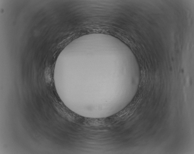 X0000081620962200701151051
