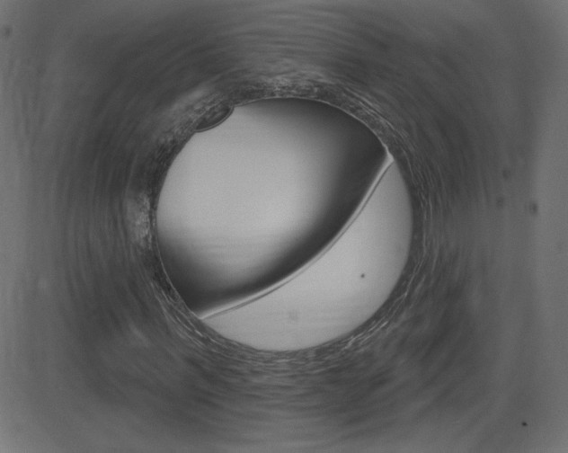 X0000081620963200701151051