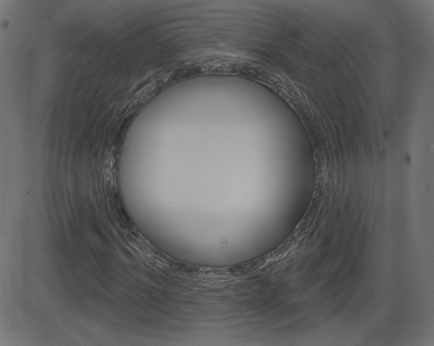 X0000081620964200701151051