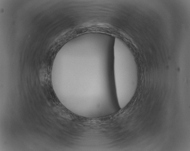 X0000081620966200701151050