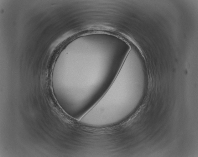 X0000081620971200701151050