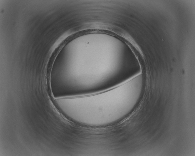 X0000081620972200701151050
