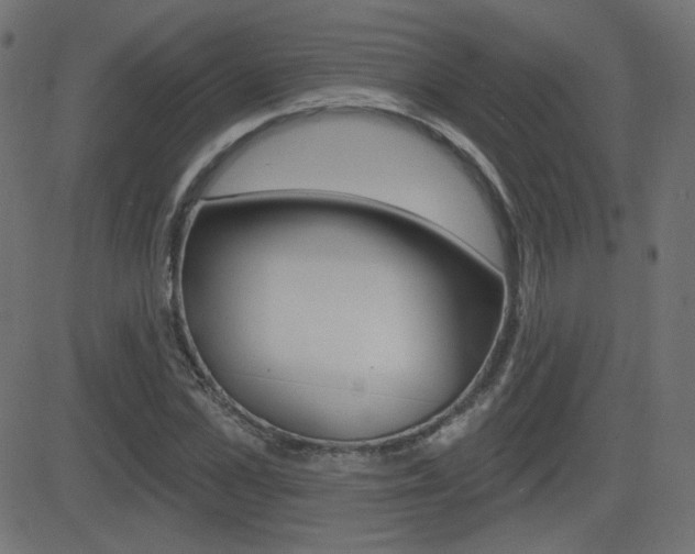 X0000081620973200701151050