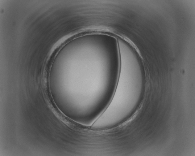X0000081620981200701151050