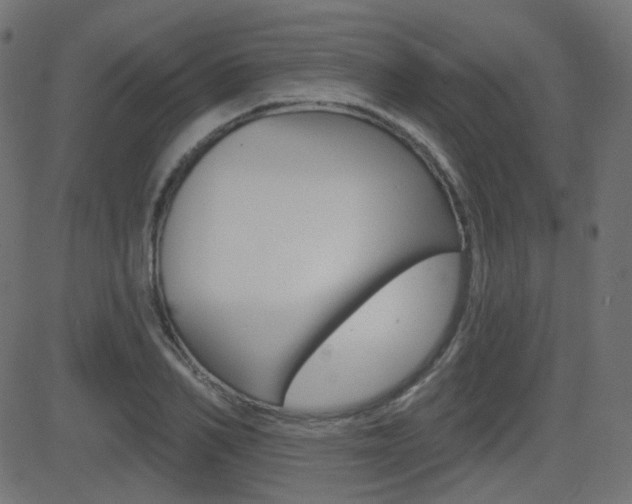 X0000081620982200701151050