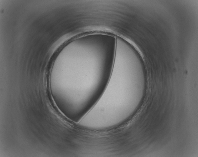 X0000081620983200701151050