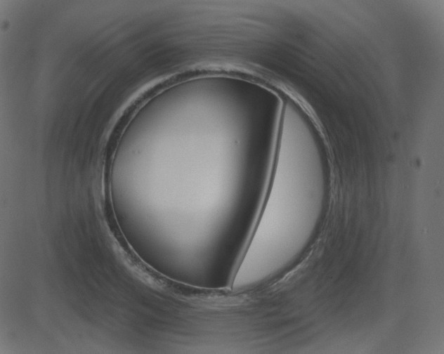 X0000081620984200701151050
