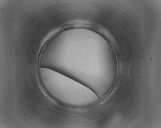 X0000081620986200701151050