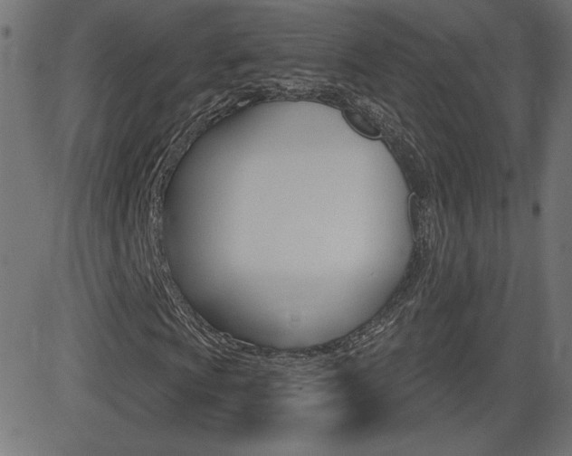 X0000081621009200701151049