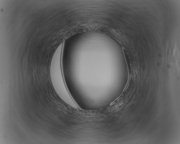 X0000081621010200701151049