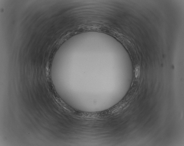 X0000081621011200701151049
