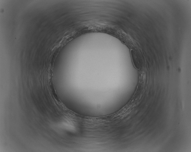 X0000081621012200701151049