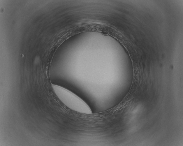 X0000081621013200701151049