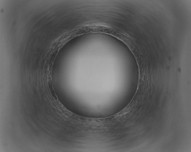 X0000081621014200701151049