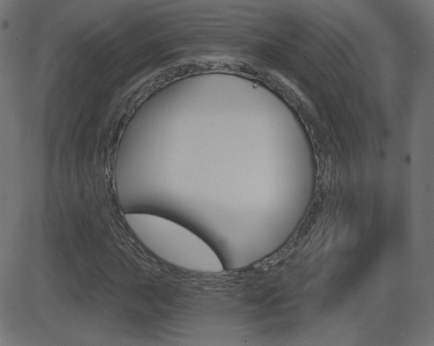 X0000081621015200701151049