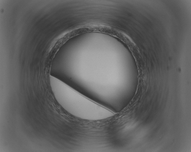 X0000081621016200701151049