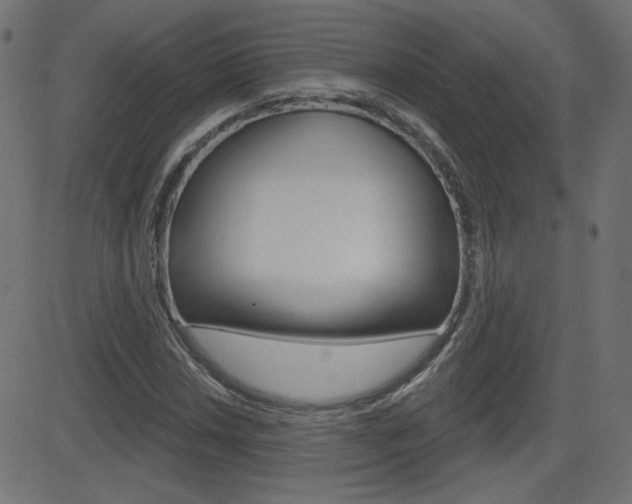 X0000081621018200701151049