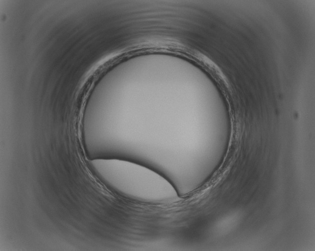 X0000081621019200701151049
