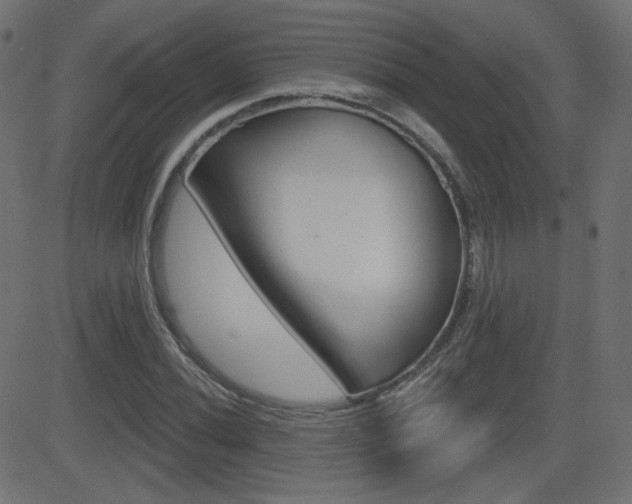 X0000081621020200701151049
