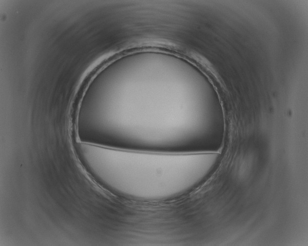 X0000081621024200701151049