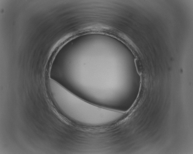 X0000081621026200701151049