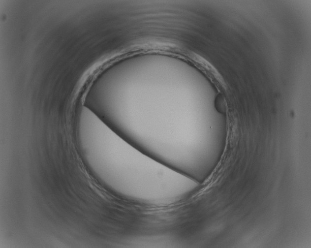 X0000081621027200701151049